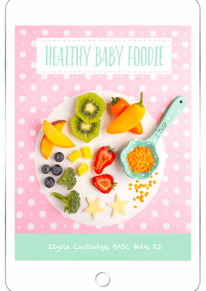 Healthy Baby Foodie ebook cover.