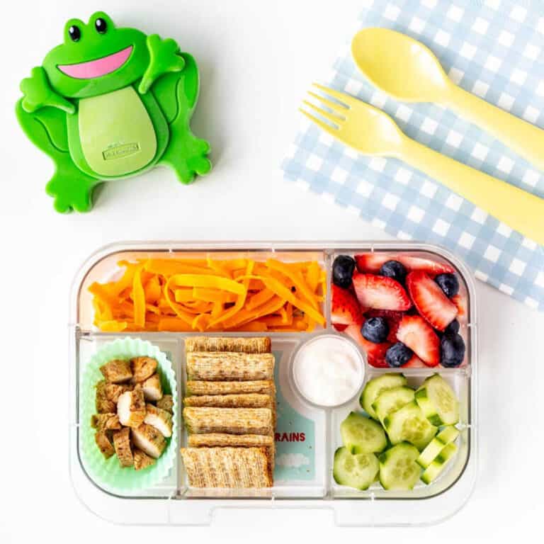 14 Best Ice Packs for Kids’ Lunch Boxes