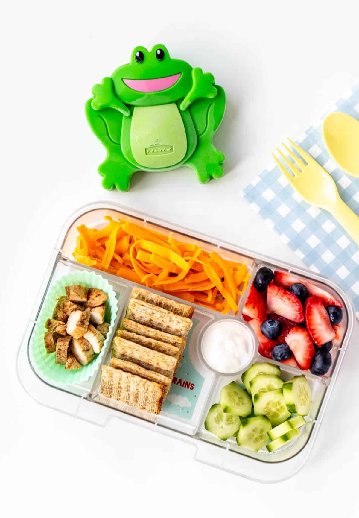 A packed lunch box with a froggie ice pack next to it.