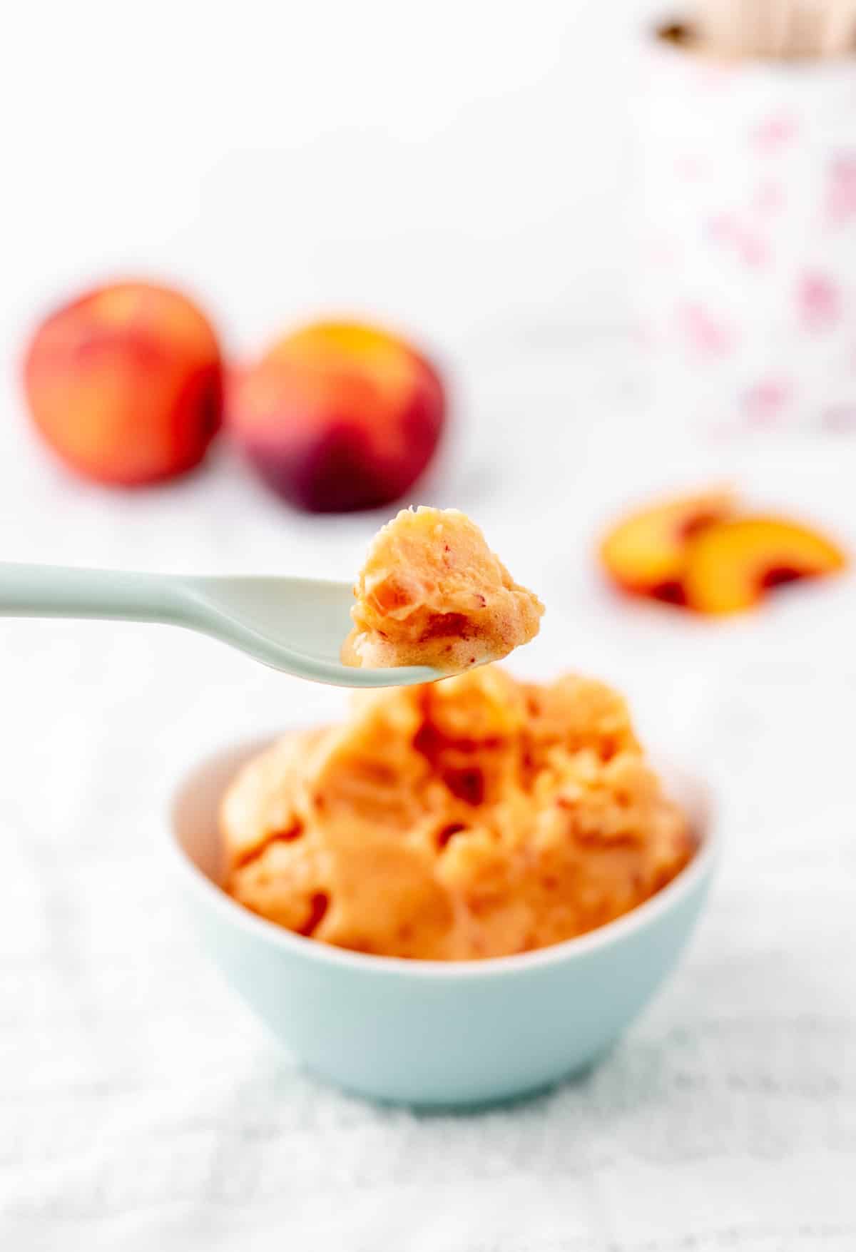 A spoon holding up some homemade peach sorbet.